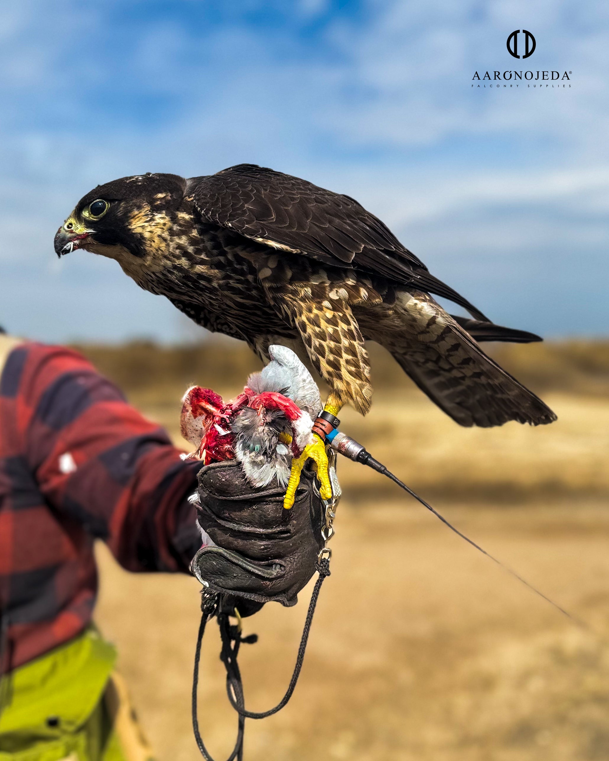 Permanent Anklets – Marshall EZ-Twist System