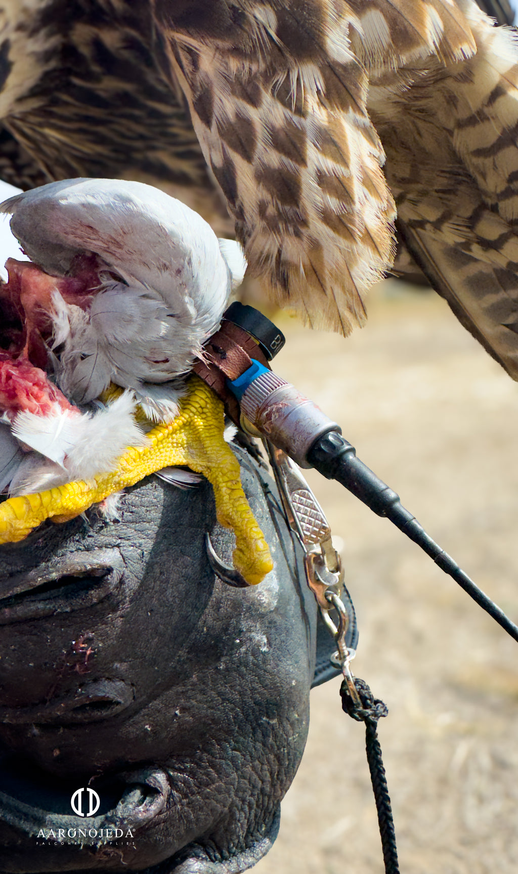 Permanent Anklets – Marshall EZ-Twist System