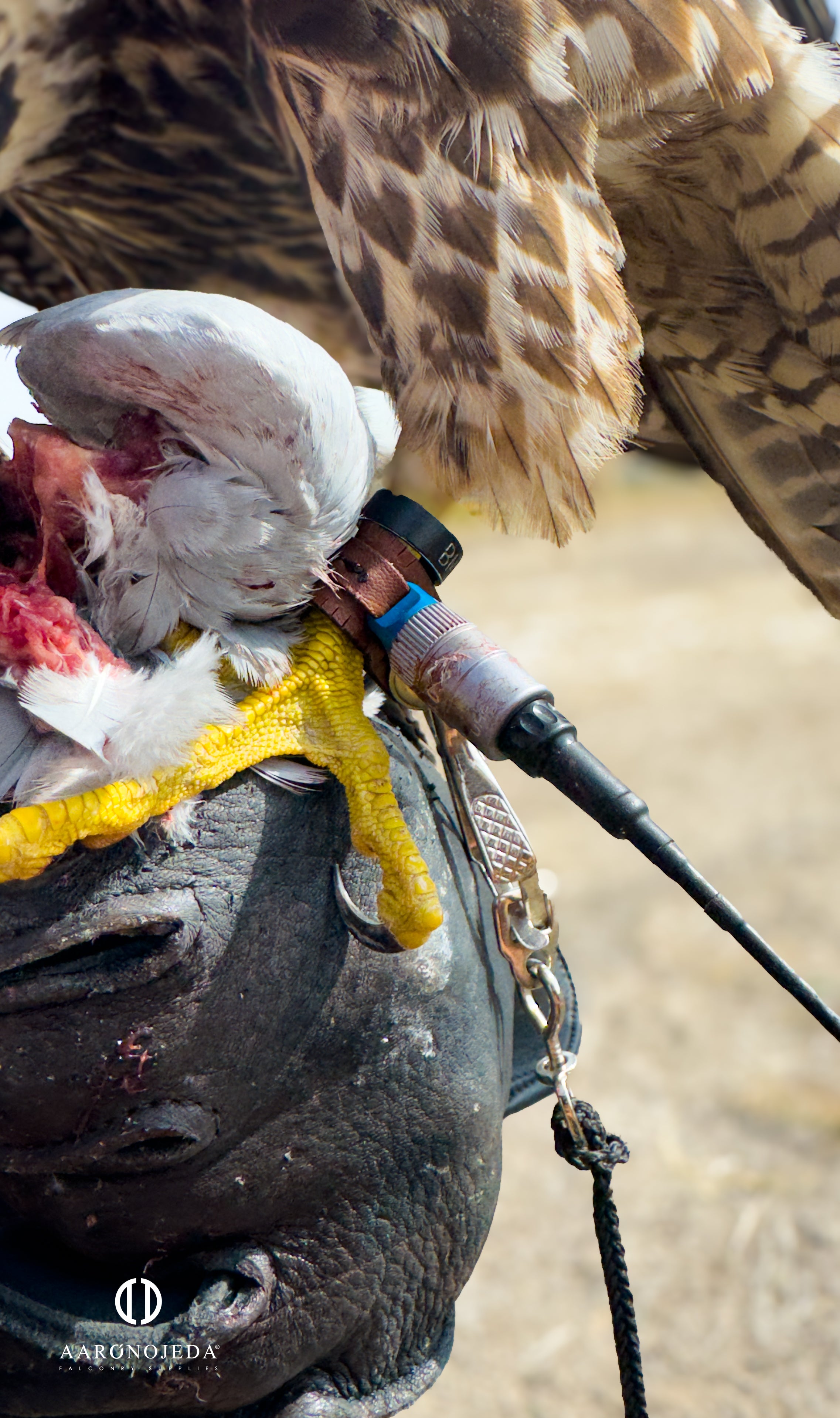 Permanent Anklets – Marshall EZ-Twist System