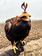 AO slip-on leather hood for eagles