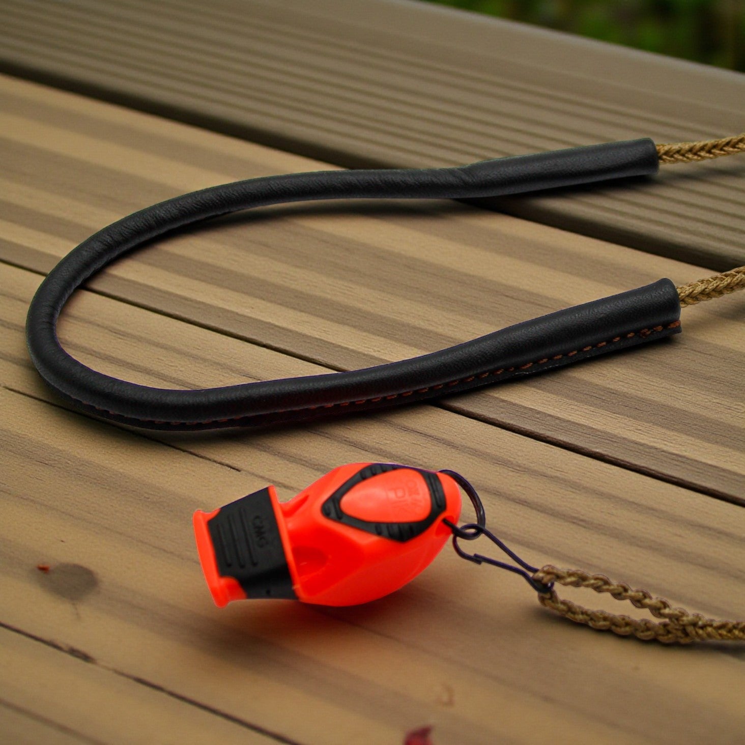 Whistle Lanyard